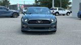 Used 2015 Ford Mustang GT Premium w/ GT Performance Package image 2