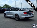 Used 2018 Ford Mustang Premium image 2
