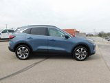 New 2025 Ford Escape Platinum image 2