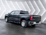 Used 2019 Chevrolet Silverado 1500 LT w/ All-Star Edition image 4
