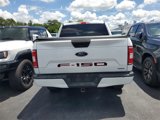 Used 2019 Ford F150 XL w/ Equipment Group 101A Mid image 6
