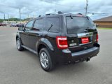 Used 2012 Ford Escape Limited image 3