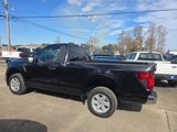 New 2025 Ford F150 XL w/ Equipment Group 103A High image 4