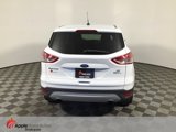 Used 2014 Ford Escape SE image 6