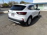 Used 2024 Ford Escape Active w/ Cold Weather Package image 4