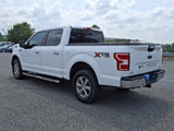 Used 2020 Ford F150 XLT image 4
