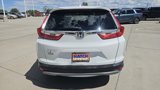 Used 2019 Honda CR-V EX-L image 6