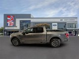 Used 2023 Ford F150 XLT w/ Equipment Group 302A High image 2