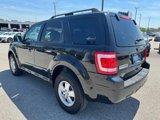 Used 2011 Ford Escape XLT image 5