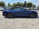 Used 2019 Ford Mustang Convertible w/ Equipment Group 101A image 5