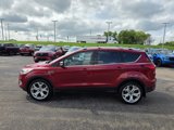 Used 2019 Ford Escape Titanium image 4