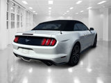 Used 2015 Ford Mustang Premium w/ Equipment Group 201A image 3