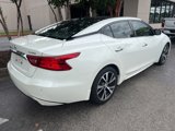 Used 2016 Nissan Maxima Platinum w/ Interior Lighting Package image 3