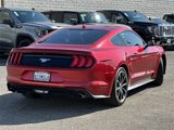 Used 2021 Ford Mustang Coupe w/ Equipment Group 101A image 4