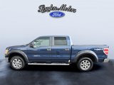 Used 2013 Ford F150 XLT w/ Luxury Equipment Group image 3