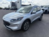 Used 2020 Ford Escape SEL image 2