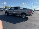 Used 2014 Ford F150 XLT w/ Equipment Group 302A Luxury image 3