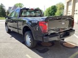 New 2025 Ford F150 XL image 5