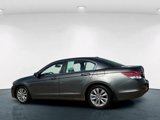 Used 2011 Honda Accord EX-L image 4