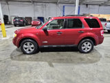 Used 2008 Ford Escape XLT image 3