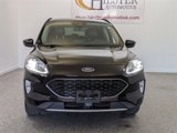 Used 2020 Ford Escape Titanium image 3