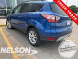 Used 2018 Ford Escape SEL image 5