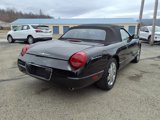 Used 2003 Ford Thunderbird Deluxe image 3