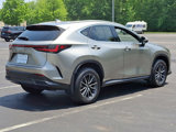 Used 2024 Lexus NX 350 AWD image 6