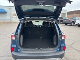 Used 2020 Ford Escape SE image 5