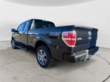 Used 2014 Ford F150 STX w/ Equipment Group 201A Mid image 3