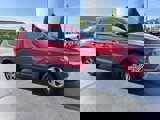 View Video