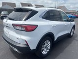 Used 2022 Ford Escape SE image 5
