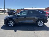 Used 2020 Ford Escape SE image 4