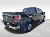 Used 2013 Ford F150 XLT w/ Luxury Equipment Group image 5
