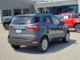 Used 2022 Ford EcoSport SE image 5