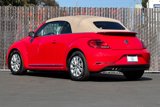 Used 2019 Volkswagen Beetle 2.0T S image 6