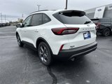 New 2025 Ford Escape ST-Line w/ Tech Pack #1 image 5