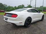 Used 2017 Ford Mustang Premium w/ Ecoboost Performance Package image 5