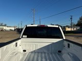 New 2024 Ford F150 XLT w/ Equipment Group 302A MID image 6