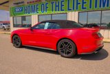 Used 2022 Ford Mustang Premium image 4