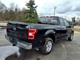 Used 2019 Ford F150 XLT w/ Equipment Group 301A Mid image 5