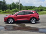 Used 2021 Ford Escape SE image 2