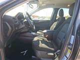 New 2025 Ford Escape Active w/ Cold Weather Package image 6