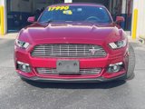 Used 2017 Ford Mustang Premium w/ Equipment Group 201A image 4