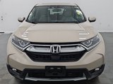 Used 2019 Honda CR-V EX-L image 3