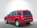 Used 2011 Ford Escape XLT image 4