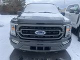 Used 2023 Ford F150 XLT w/ Equipment Group 302A High image 2