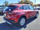 Used 2025 Ford Escape Active w/ Cold Weather Package image 6