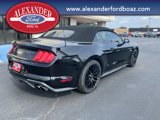 Used 2018 Ford Mustang GT Premium w/ GT Performance Package image 4