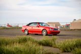 Used 2002 Mercedes-Benz CLK 430 Cabriolet image 5
